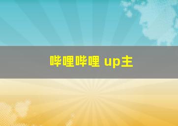 哔哩哔哩 up主